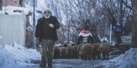ساره بیات و مهدی هاشمی در «چشم بادومی»