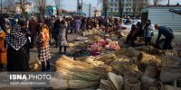 پیاده‌روی در جنگل فتاتو و خرید از روستای ملی حصیر