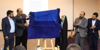 استفاده بهتری که از «همستر کامبت» می‌توانستیم داشته باشیم