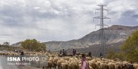 ورود بی ضابطه گردشگران در مناطق عشایری ممنوع/ استقرار سامانه‌های خورشیدی برای عشایر