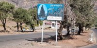 سرو ۱۰۰۰ ساله هرزویل، اثری ملی و سمبل آزادگی گیلان