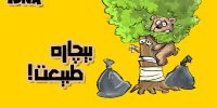 کاریکاتور/ بیچاره طبیعت!