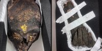 بازگشت مومیایی با روکش طلا به خانه