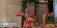 دبیرخانه دائمی جشنواره ملی انار ساوه فعالیت خود را آغاز می‌کند
