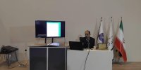 وجود ۲۰۰ نسخه از قرآن‌های منسوب به ائمه(ع) در موزه‌های دنیا