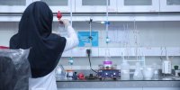 استاد مرموز در دانشگاه معروف تهران؛ ترک تحصیل دانشجویان در مقطع دکترا/ «استاد ایمیل زد و فرصت مطالعاتی را از بین برد»