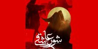 نازنین کریمی داور جشنواره ایتالیایی شد/ رونمایی پوستر «شور عاشقی»