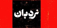 نقد و بررسی ۵ فیلم مستند برگزیده در «نردبان» شبکه مستند