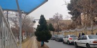 بارش پراکنده برف در مشهد