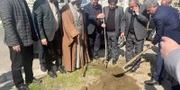 کاشت نهال به مناسبت هفته درختکاری در فومن