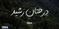 مستند کوتاه/ رشید غفاری؛ جنگلبانی که پای حیات جنگل ایستاد