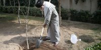 ویدیو/ رهبر انقلاب: نهضت ملی درختکاری جدی گرفته شود و ادامه یابد