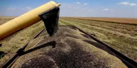گندمکاران حتما بخوانند/ زمان پرداخت مطالبات گندمکاران اعلام شد