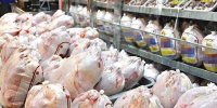 کاهش قیمت مرغ در بازار / افزایش تولید جواب داد