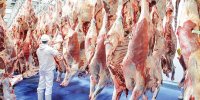 قیمت جدید گوشت قرمز امروز ۲۹ مردادماه اعلام شد/ گوشت گوسفندی ارزان شد + جزییان