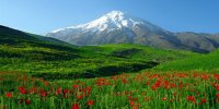 بهاریه/ خون سیاوشان زد و چشمش روان برفت