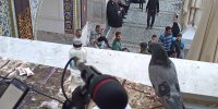 همراهی رادیو اربعین با زائران مشهد مقدس تا پایان صفر