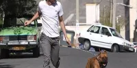 کارزار علیه نگهداری حیوان خانگی با حمایت ستاد امر به معروف تهران/ دشمن می‌خواهد نگهداری حیوان خانگی را در جامعه عادی کند/ کجای این دنیا ایستاده ایم!