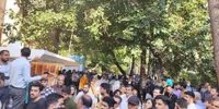 دفاع طراح کلینیک ترک بی حجابی از تجمعات بدون مجوز تندروها/ ما اجرای قانون را مطالبه می‌کنیم/ هر تجمعی مطابق مندرجات اصل ۲۷ آزاد است