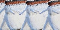 تلگراف: جنگ با چین نزدیک‌تر از آن چیزی است که فکر می‌کنیم