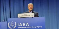 اسلامی: برجام نباید به هزینه تنها یک عضو اجرا شود