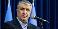 گزارش اسلامی از آخرین وضعیت ساخت نیروگاه اتمی/ مزاحمت‌ اروپایی‌ها مانع نمی‌شود