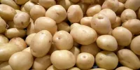 گمرک: صادرات سیب زمینی مشمول عوارض ۶۰ درصدی شد