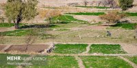 توسعه ۳۰۰ هزار هکتار اراضی؛ افزایش سه میلیون تنی محصولات کشاورزی
