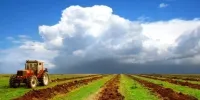 تورم سالانه گروه زراعت ۱۱.۸ درصد اعلام شد