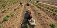 نهادهای دولتی بستر «مشارکت مردم» در تولید را فراهم می‌کنند