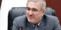 طرح «سوخت‌رسانی در مسیر» به جلوگیری از قاچاق کمک می‌کند/ راه‌اندازی بازار بهینه‌سازی انرژی از اقدام‌های دولت سیزدهم است