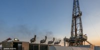تولید نفت از میدان سپهر و جفیر به ۵۱ هزار بشکه رسید