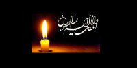 پیام مدیران ارشد نفت برای درگذشت برادر وزیر نفت
