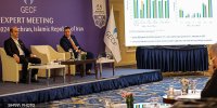 بررسی بازارهای گاز در نشست کارشناسی جی‌ئی‌سی‌اف