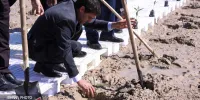 گسترش حراکاری پتروشیمی در ماهشهر