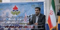 سیستم ایمنی قوی ضامن استمرار تولید است