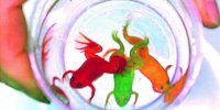از نظر علمی آیا می توان برای پیش بینی آب و هوا روی حیوانات حساب کرد؟