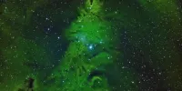 این ستاره‌ها شکل درخت کریسمس شده‌اند!
