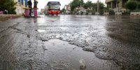 بارش زیبای باران بهاری در شیراز | تصاویر