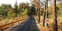 ماجرای ساخت هتل در بوستان‌های جنگلی تهران صحت دارد؟ | ویدیو