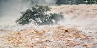 باران شدید و جاری شدن سیلاب در روستای جونگان  | ویدئو