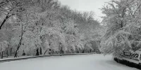 ویدئویی زیبا از چهره برفی پارک ملی گلستان