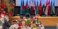 جشن نوروز در سازمان ملل با همت ایران و ۱۱ کشور و نوای موسیقی‌های سنتی | ویدئو