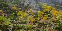 مخمل کوه لرستان، زیبایی بی‌ حد و حصر در میان کوه‌ها
