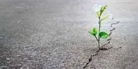 در نگاه مادی و دنیایی، هدف چیست؟