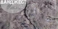 نبرد جالب ریزپرنده‌های روسی و اوکراینی در آسمان+ فیلم
