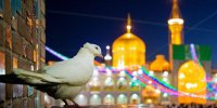 نام اثر: عشق به امام رضا(ع) بزرگ و کوچیک نمیشناسه...