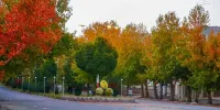 فصلی زیبا و دلنشین برای سفر به بام کویر ایران