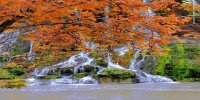 زیبایی پاییز در آبشار بیشه لرستان +عکس