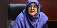 مهاجرانی به پویش «۲ درجه کمتر» پیوست